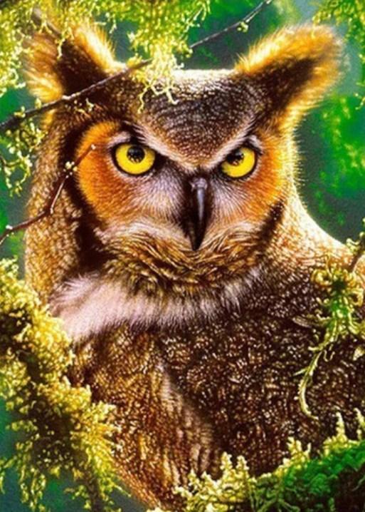 Angry Horned Owl Diamond Painting - diamond-painting-bliss.myshopify.com