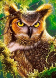 Angry Horned Owl Diamond Painting - diamond-painting-bliss.myshopify.com