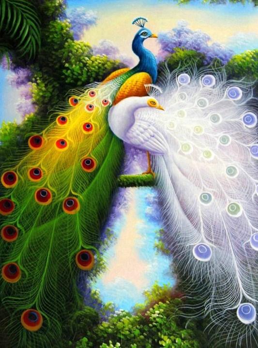 Attractive Peacocks - Diamond Painting Kit - diamond-painting-bliss.myshopify.com