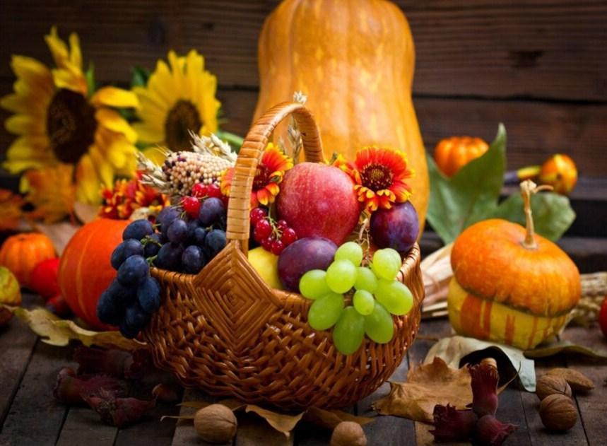 Basket Full of Fresh Fruits - diamond-painting-bliss.myshopify.com