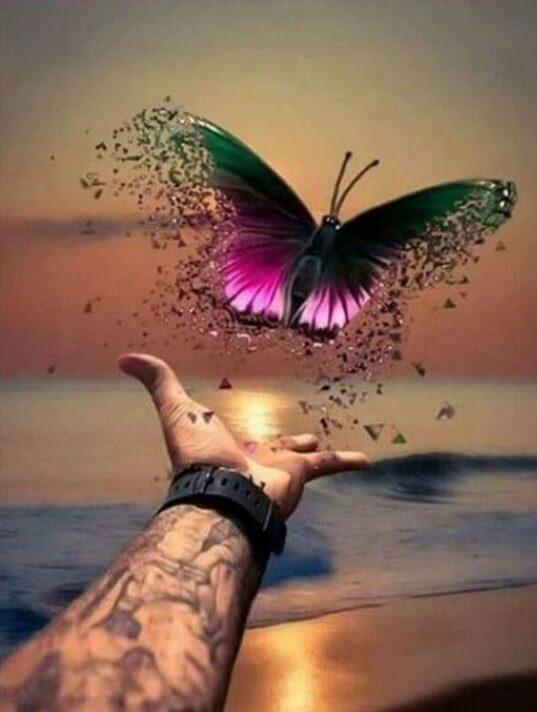 Beautiful Butterfly Freed to Fly - diamond-painting-bliss.myshopify.com
