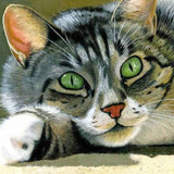 Beautiful Cat with Green Eyes - diamond-painting-bliss.myshopify.com