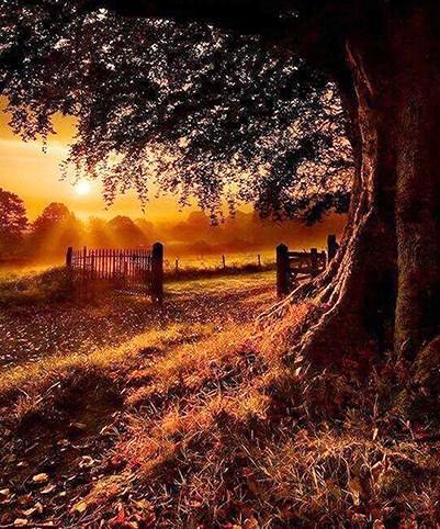 Beautiful Sunrise Paint by Diamonds - diamond-painting-bliss.myshopify.com
