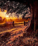 Beautiful Sunrise Paint by Diamonds - diamond-painting-bliss.myshopify.com