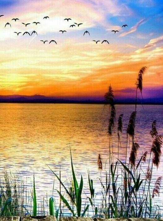 Birds Coming Back to Homes - diamond-painting-bliss.myshopify.com