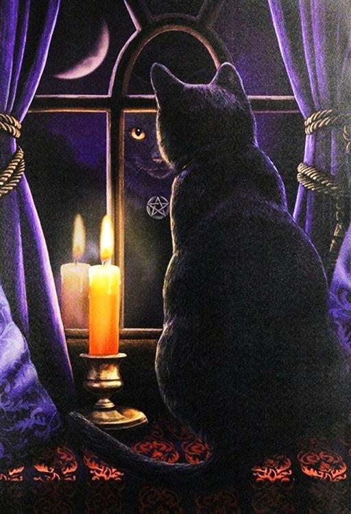 Black Cat & Candle in the Window - diamond-painting-bliss.myshopify.com