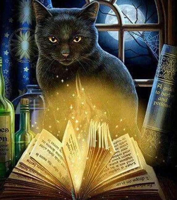 Black Cat & Magic Book - diamond-painting-bliss.myshopify.com