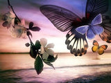 Butterflies & Landscape Beauty - diamond-painting-bliss.myshopify.com