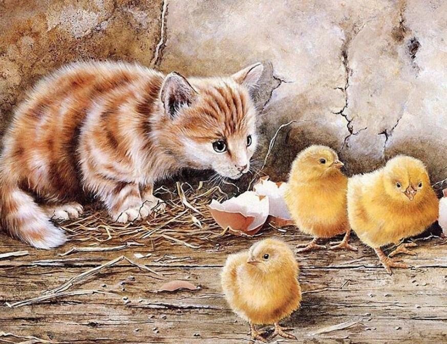 Cat & Chicks - Paint by Diamonds - diamond-painting-bliss.myshopify.com
