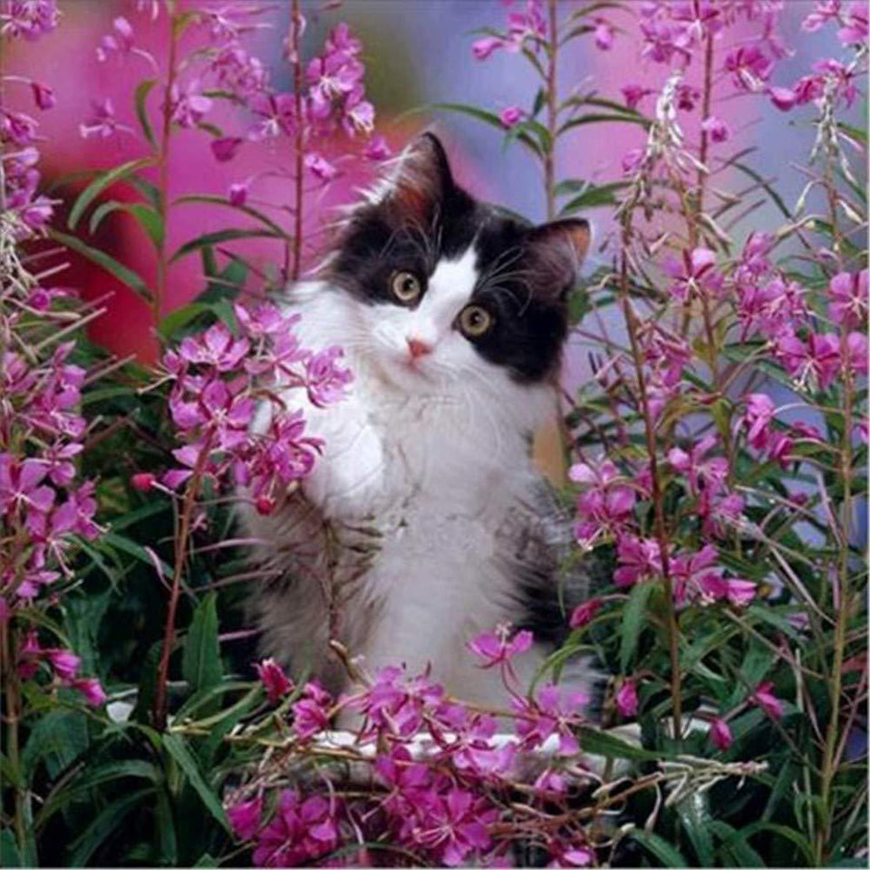 Cat Playing in Flowers - diamond-painting-bliss.myshopify.com