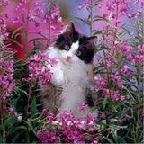 Cat Playing in Flowers - diamond-painting-bliss.myshopify.com