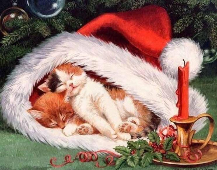 Cats Sleeping in Christmas Hat - diamond-painting-bliss.myshopify.com