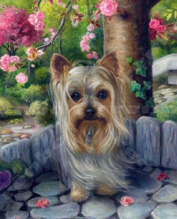 Cute Yorkshire Terrier Diamond Painting - diamond-painting-bliss.myshopify.com