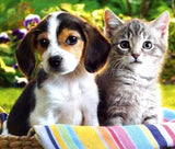 Dog & Cat Diamond Painting Kit - diamond-painting-bliss.myshopify.com