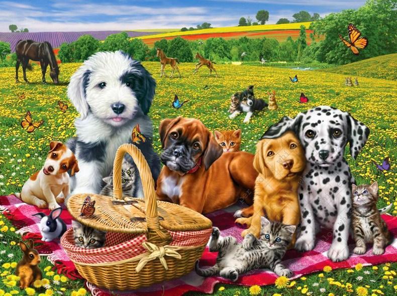 Dogs & Cats on Picnic - diamond-painting-bliss.myshopify.com