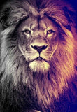 Gazing Lion - Paint by Diamonds - diamond-painting-bliss.myshopify.com