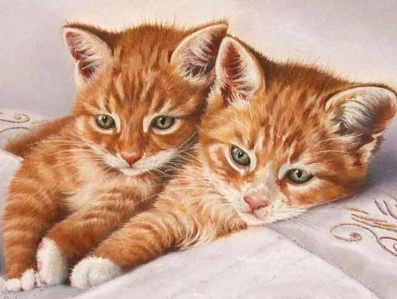 Ginger Cat Pair - Diamond Painting Kit - diamond-painting-bliss.myshopify.com