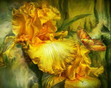 Goddess Of Summer by Carol Cavalaris - diamond-painting-bliss.myshopify.com