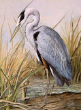 Great Blue Heron Diamond Painting - diamond-painting-bliss.myshopify.com