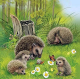 Hedgehog Family Painting Kit - diamond-painting-bliss.myshopify.com