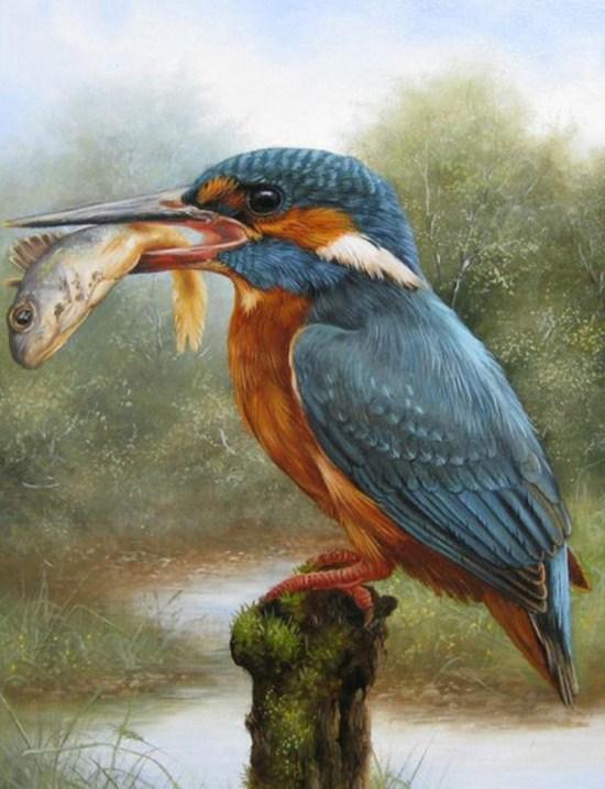 Kingfisher Eating Fish - Paint by Diamonds - diamond-painting-bliss.myshopify.com