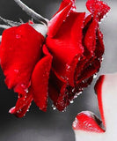 Kissing a Rose - Paint with Diamonds - diamond-painting-bliss.myshopify.com