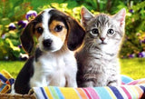 Kitty & Puppy - Diamond Painting Kit - diamond-painting-bliss.myshopify.com