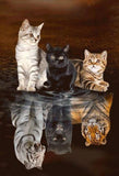 Little Cats Dreaming Big Diamond Painting - diamond-painting-bliss.myshopify.com
