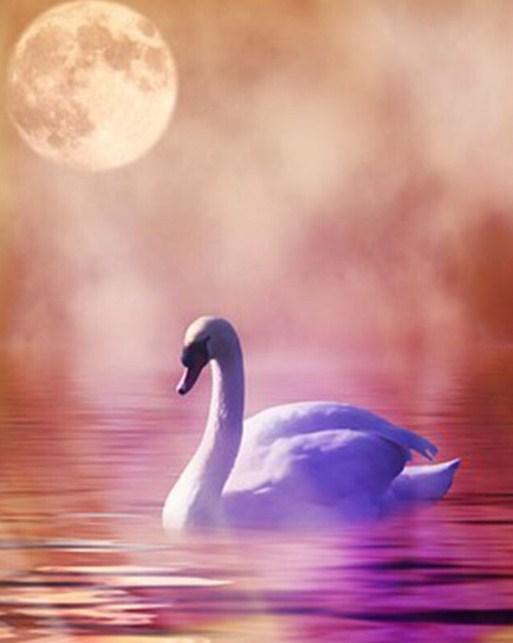 Lonely Swan - Diamond Painting Kit - diamond-painting-bliss.myshopify.com