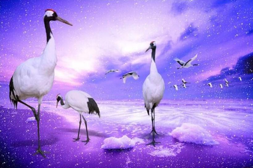 Long Legged Cranes Diamond Painting - diamond-painting-bliss.myshopify.com