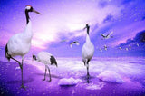 Long Legged Cranes Diamond Painting - diamond-painting-bliss.myshopify.com