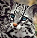 Ocelot Cat- Diamond Painting Kit - diamond-painting-bliss.myshopify.com