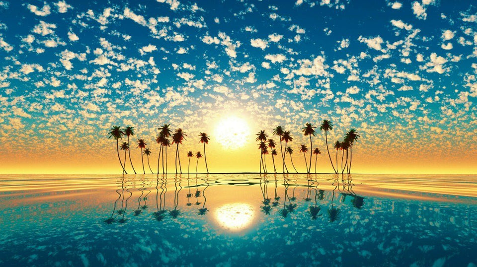 Orange Sunset Clouds In Sky & Palm Trees - diamond-painting-bliss.myshopify.com