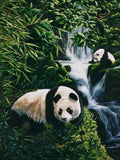 Panda Bears & Beautiful Waterfall - diamond-painting-bliss.myshopify.com