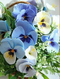 Pansy Flowers - Diamond Painting Kit - diamond-painting-bliss.myshopify.com