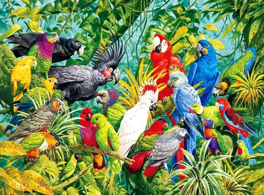 Parrots Kingdom - Diamond Painting Kit - diamond-painting-bliss.myshopify.com