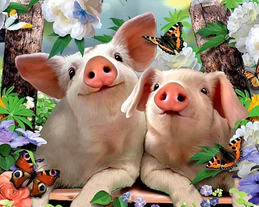 Pigs & Butterflies - diamond-painting-bliss.myshopify.com