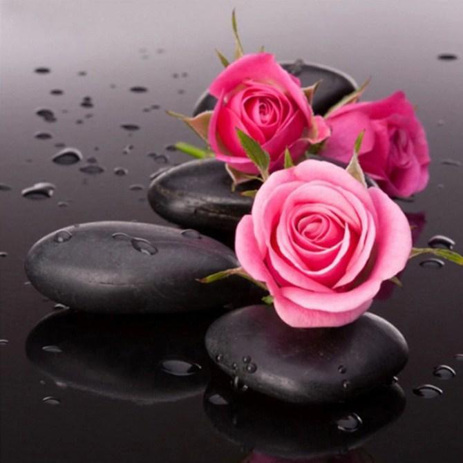 Pink Roses on Black Rocks - diamond-painting-bliss.myshopify.com