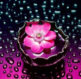 Pink Flower in Water & Raindrops - diamond-painting-bliss.myshopify.com