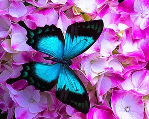 Pink Flowers & Blue Butterfly - diamond-painting-bliss.myshopify.com