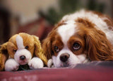 Puppy with a Stuffed Toy - diamond-painting-bliss.myshopify.com