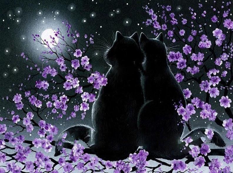 Romantic black cats - diamond-painting-bliss.myshopify.com