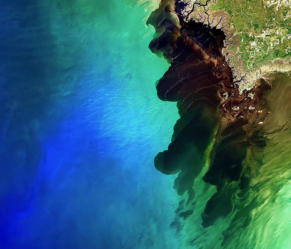 Suwannee Blackwater River Meets the Sea - diamond-painting-bliss.myshopify.com