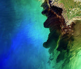 Suwannee Blackwater River Meets the Sea - diamond-painting-bliss.myshopify.com