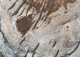 The Red Planet's Layered History - diamond-painting-bliss.myshopify.com