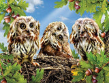 Three Owls on the Tree Diamond Painting - diamond-painting-bliss.myshopify.com