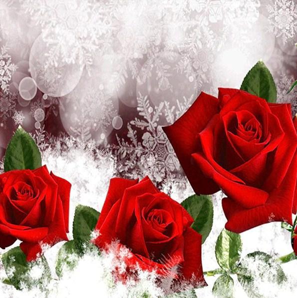 Three Red Roses Diamond Painting - diamond-painting-bliss.myshopify.com