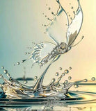 Water Butterfly Painting Kit - diamond-painting-bliss.myshopify.com