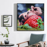 Pig With Strawberry