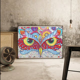 Colorful Owl Eyes